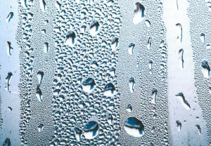 A snippet of the cover of the Condensation Care leaflet shows condensation on a window.