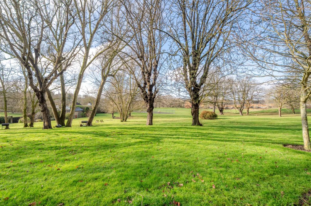 Picture of grass and trees from the luxury developments' communal gardens