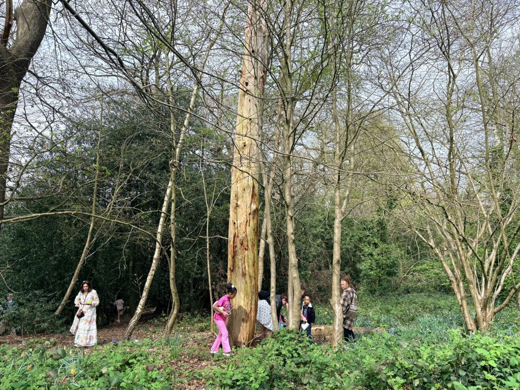 Easter Egg Hunt Attendees looking for eggs in the local Oxleas Woodlands