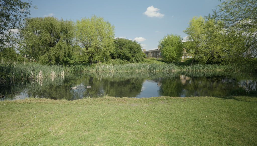 A local pond is just moments away from the property, offering a tranquil setting for picnics.